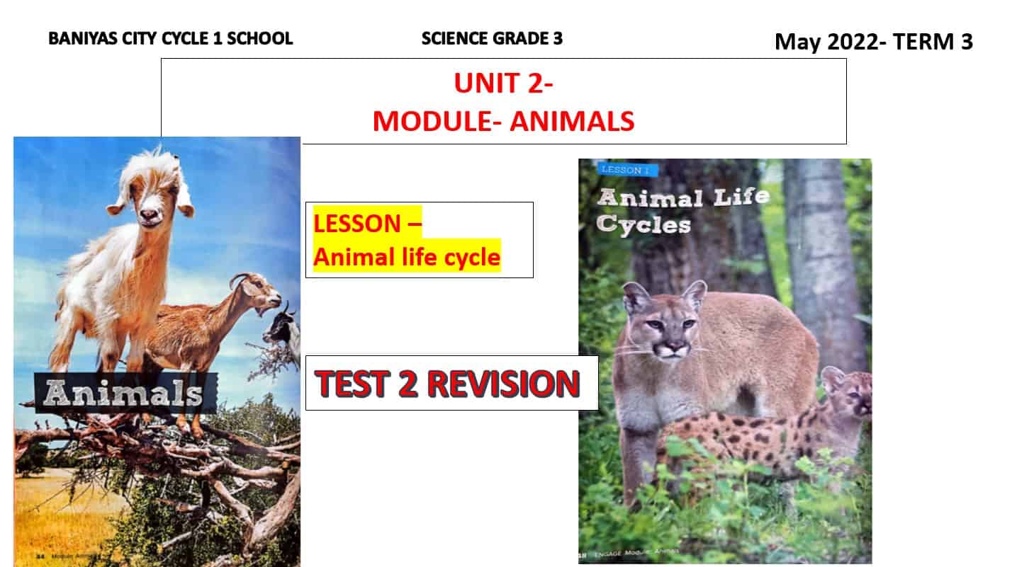 مراجعة درس Animal life cycle العلوم المتكاملة الصف الثالث - بوربوينت