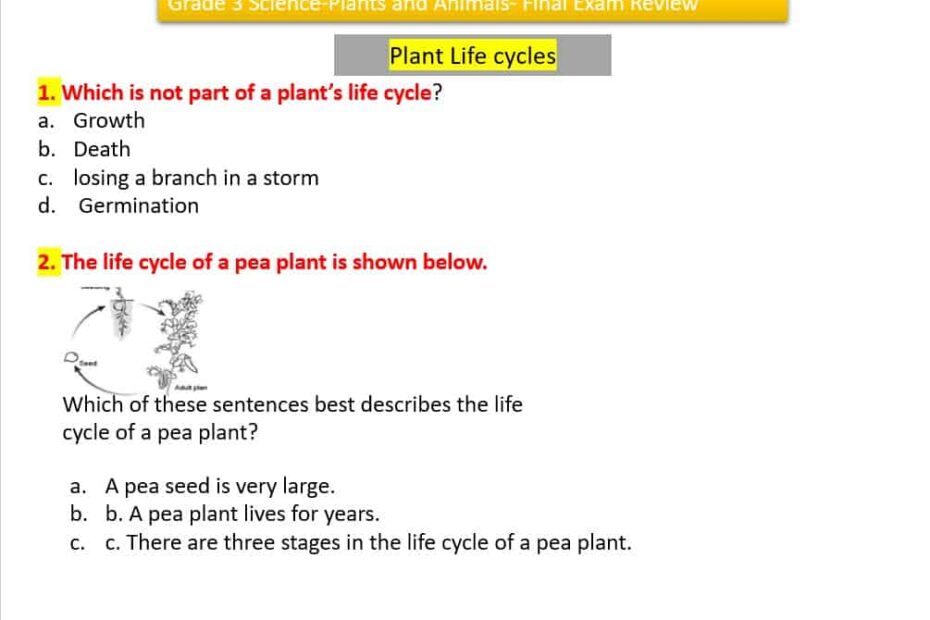 مراجعة Plants and Animals Final Exam Review العلوم المتكاملة الصف الثالث - بوربوينت