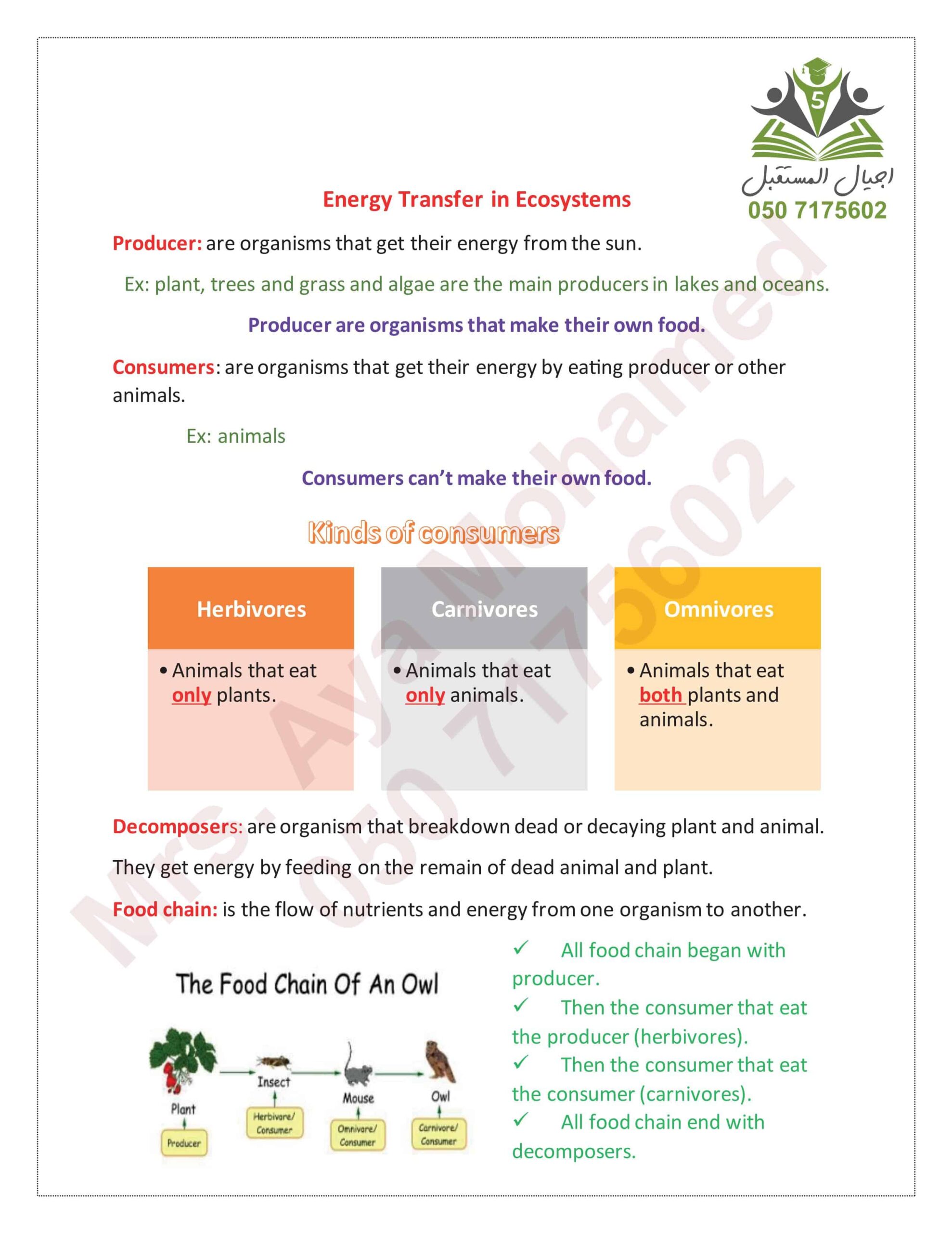ملخص درس Energy Transfer in Ecosystems العلوم المتكاملة الصف الخامس