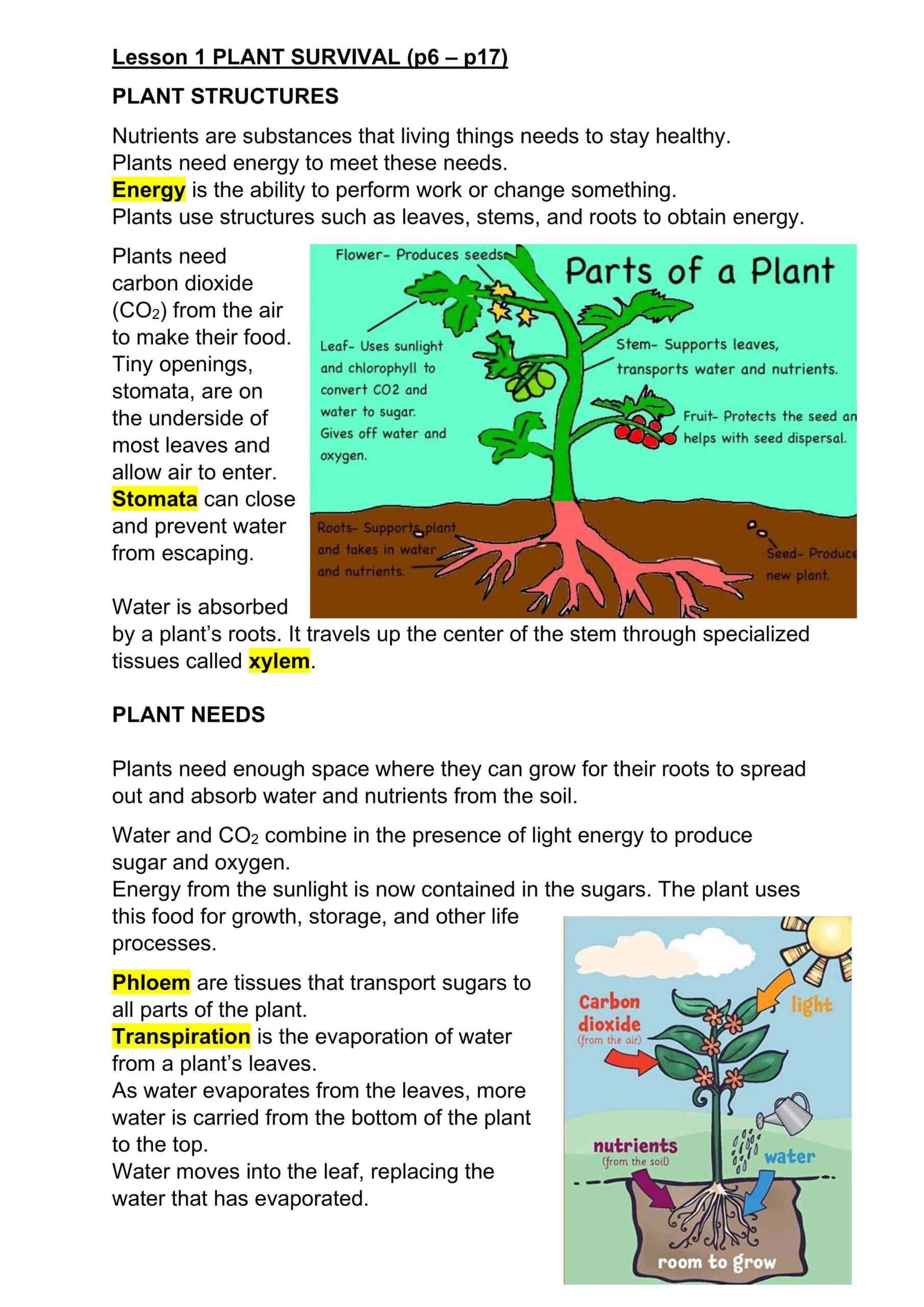 ملخص PLANT SURVIVAL العلوم المتكاملة الصف الخامس