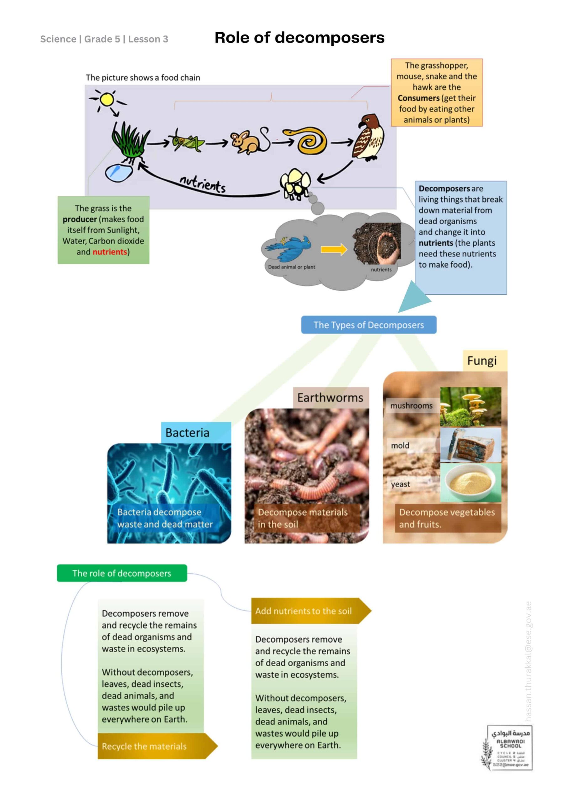 ملخص درس Role of decomposers العلوم المتكاملة الصف الخامس