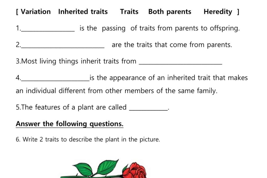 حل أوراق عمل Plant Traits العلوم المتكاملة الصف الثالث