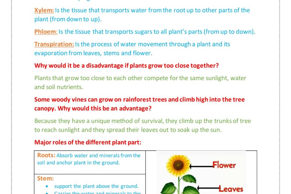 ملخص درس Plant survival العلوم المتكاملة الصف الخامس