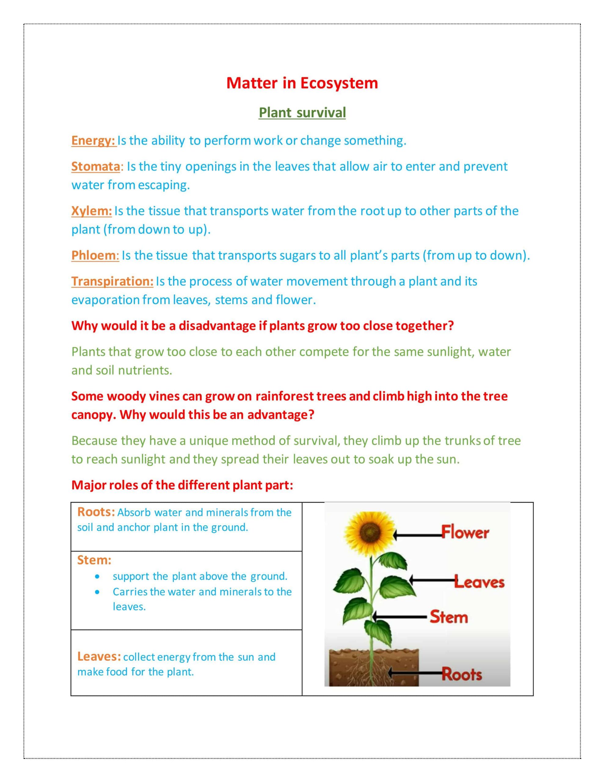 ملخص درس Plant survival العلوم المتكاملة الصف الخامس