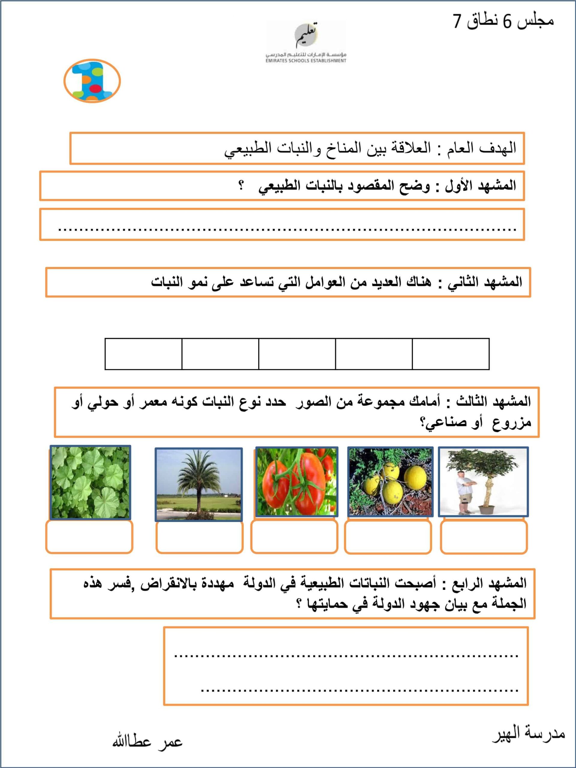 أوراق عمل النبات الحولي في الإمارات واليابان الدراسات الإجتماعية والتربية الوطنية الصف السادس - بوربوينت