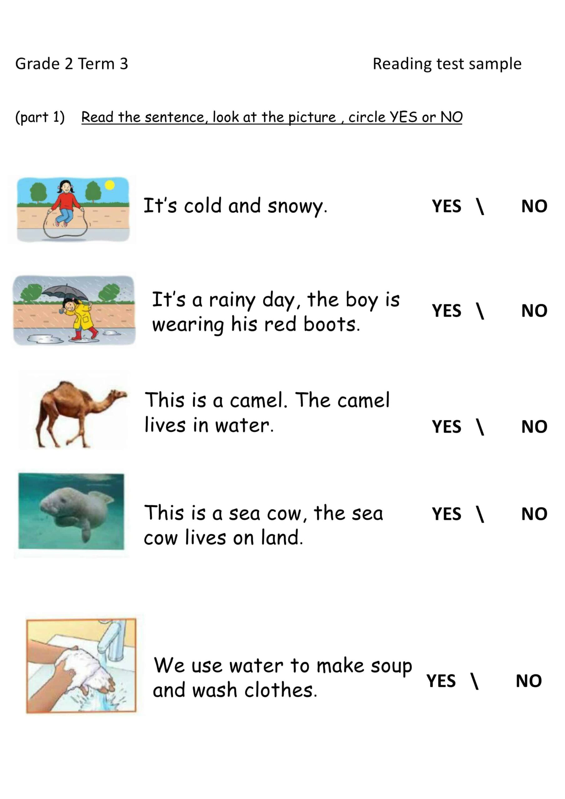 أوراق عمل Reading test sample اللغة الإنجليزية الصف الثاني