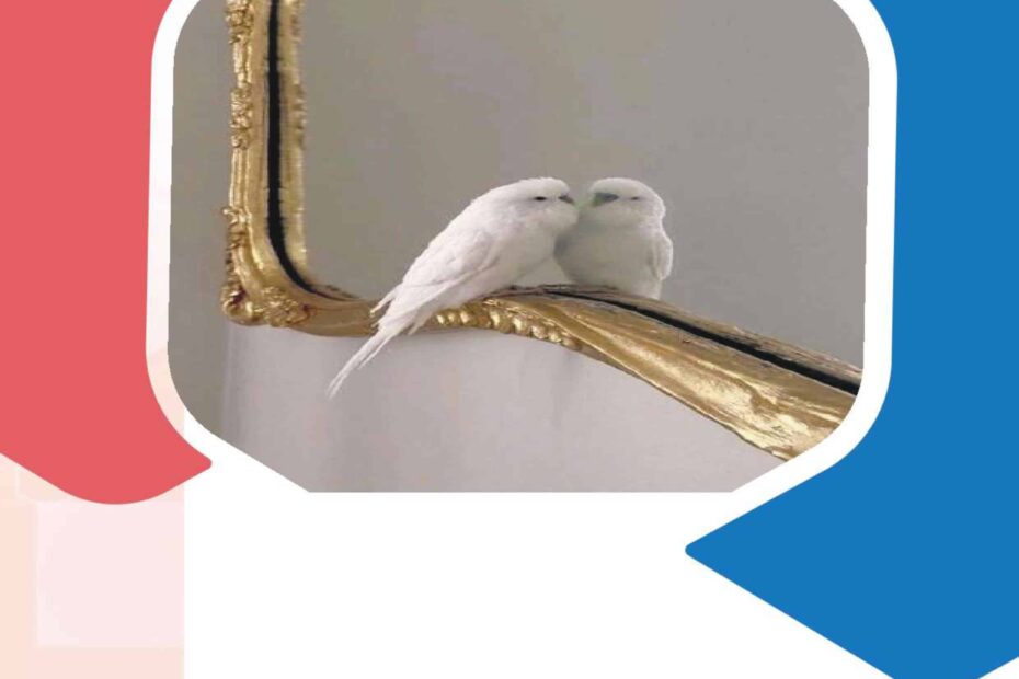 مراجعة هيكلة الانعكاس والمرايا الفيزياء الصف العاشر عام