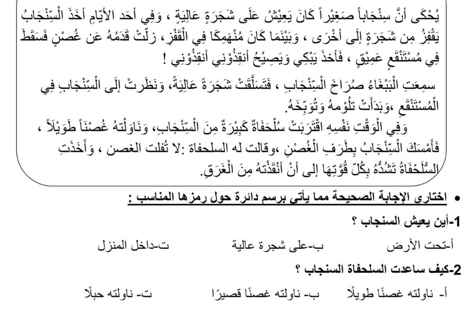 نموذج تدريبي للاختبار اللغة العربية الصف الثاني
