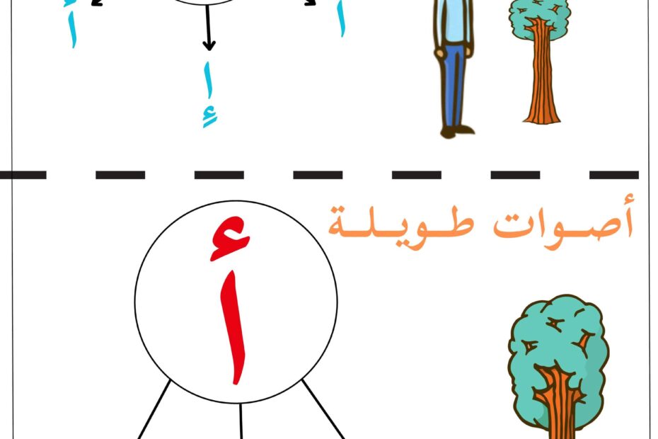 شرح الحروف الهجائية بأصواتها ومواضعها اللغة العربية الصف الأول