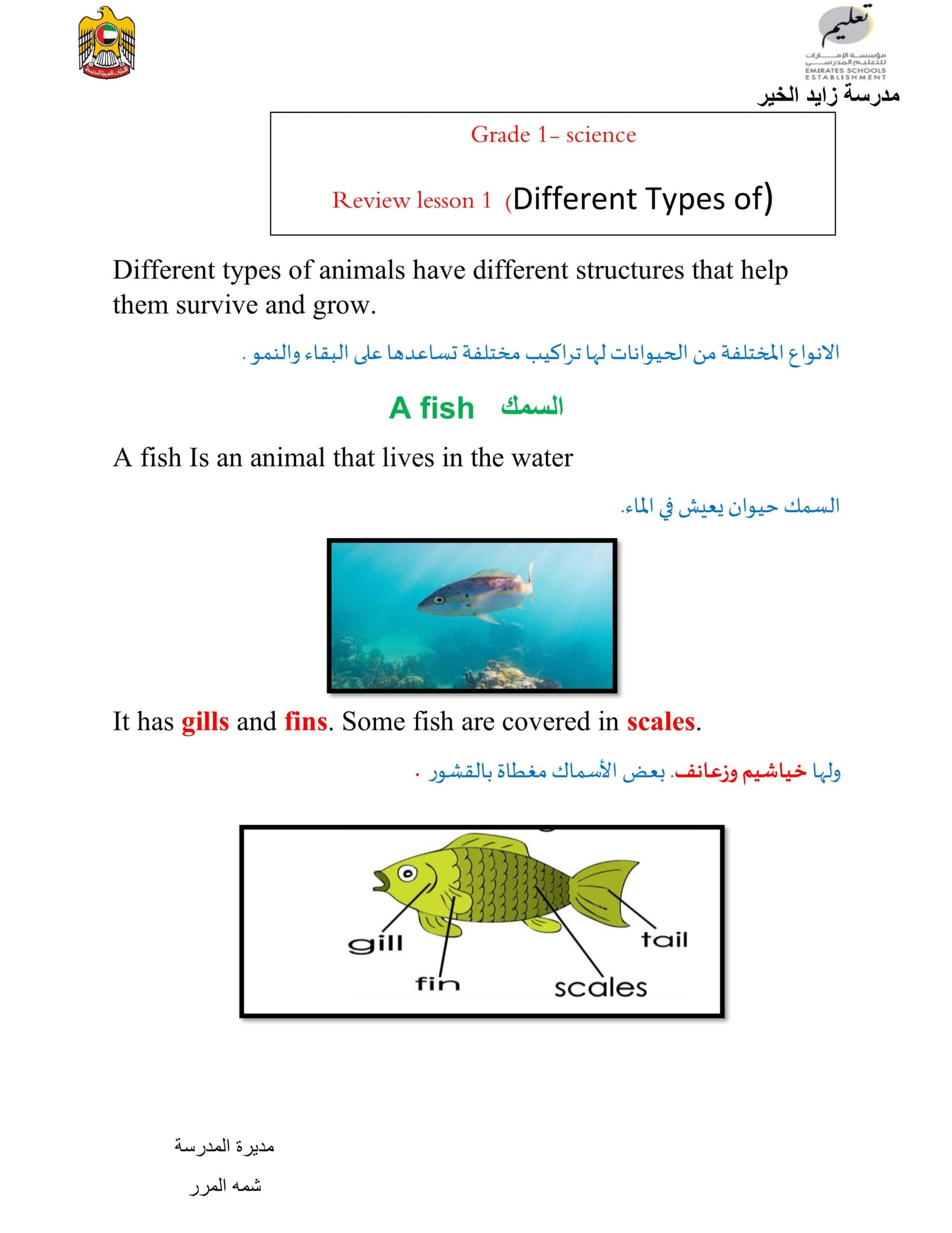 ملخص Different Types of Animals العلوم المتكاملة الصف الأول 