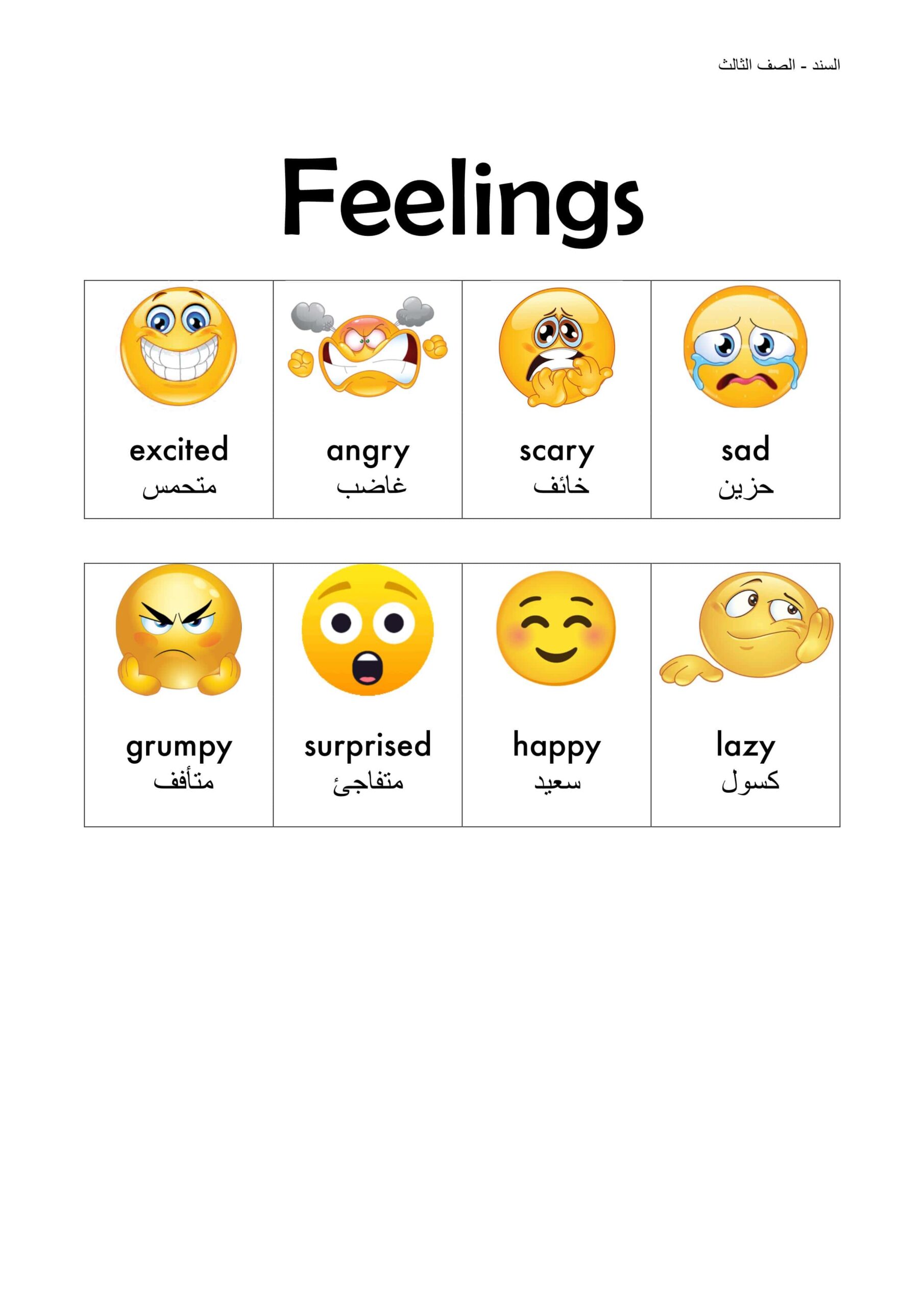 ورقة عمل Feelings اللغة الإنجليزية الصف الثالث 