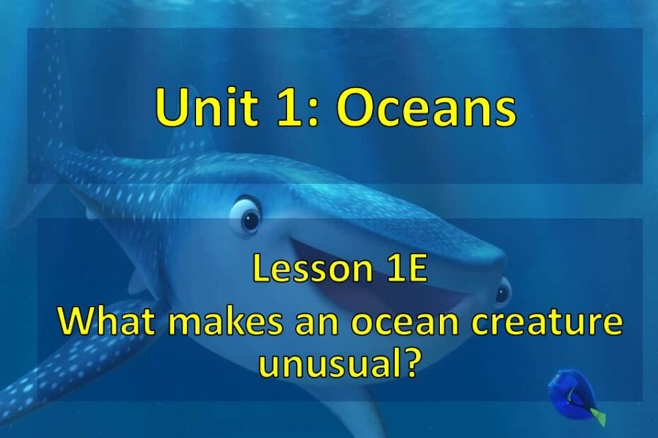 حل درس What makes an ocean creature unusual اللغة الإنجليزية الصف الثامن - بوربوينت