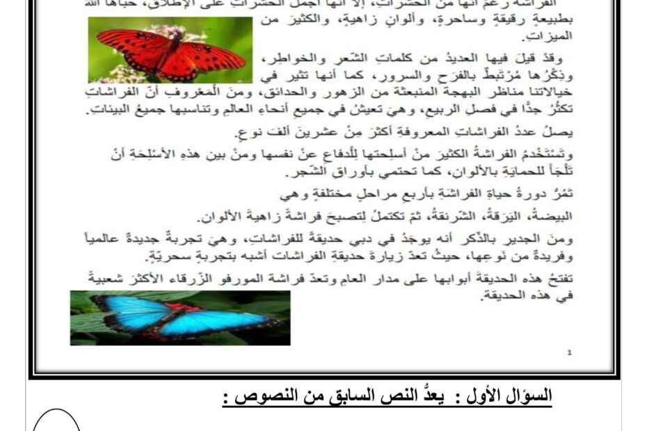 اختبار تكويني الفراشة اللغة العربية الصف الثالث