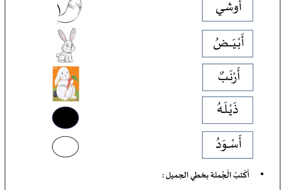 أوراق عمل حرف الألف أوشي الأرنب الأكول اللغة العربية الصف الأول