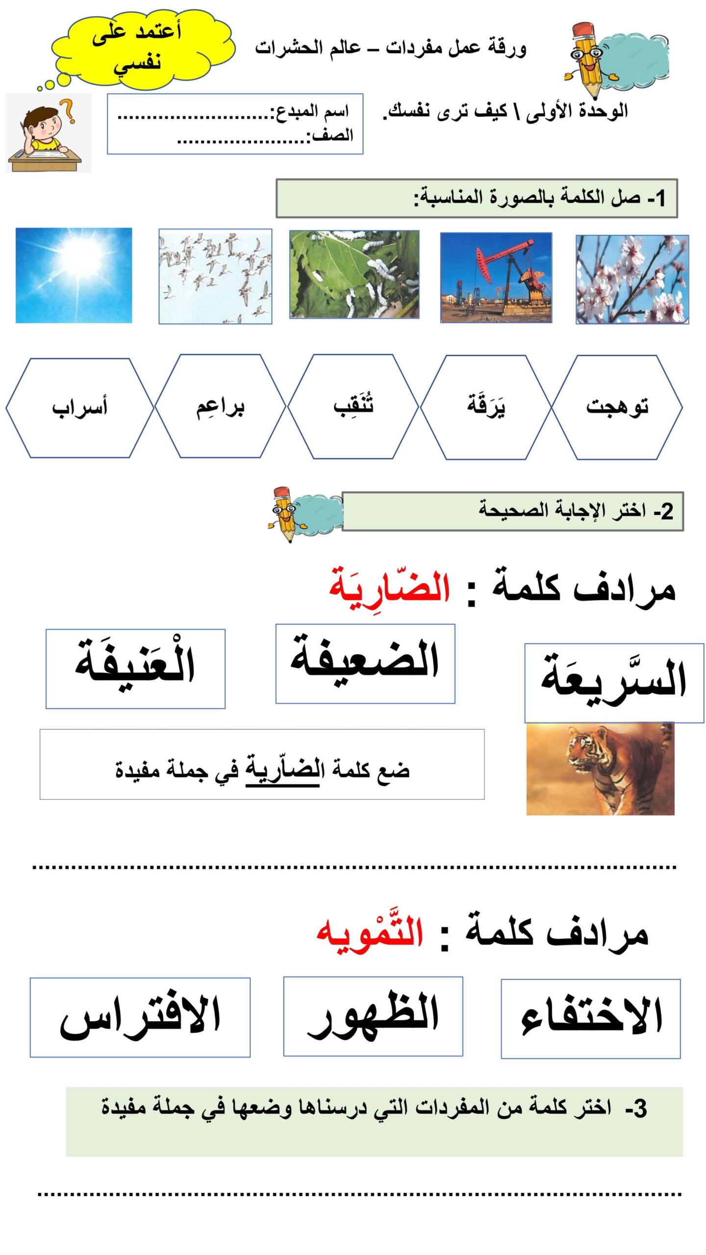 ورقة عمل مفردات عالم الحشرات اللغة العربية الصف الثالث