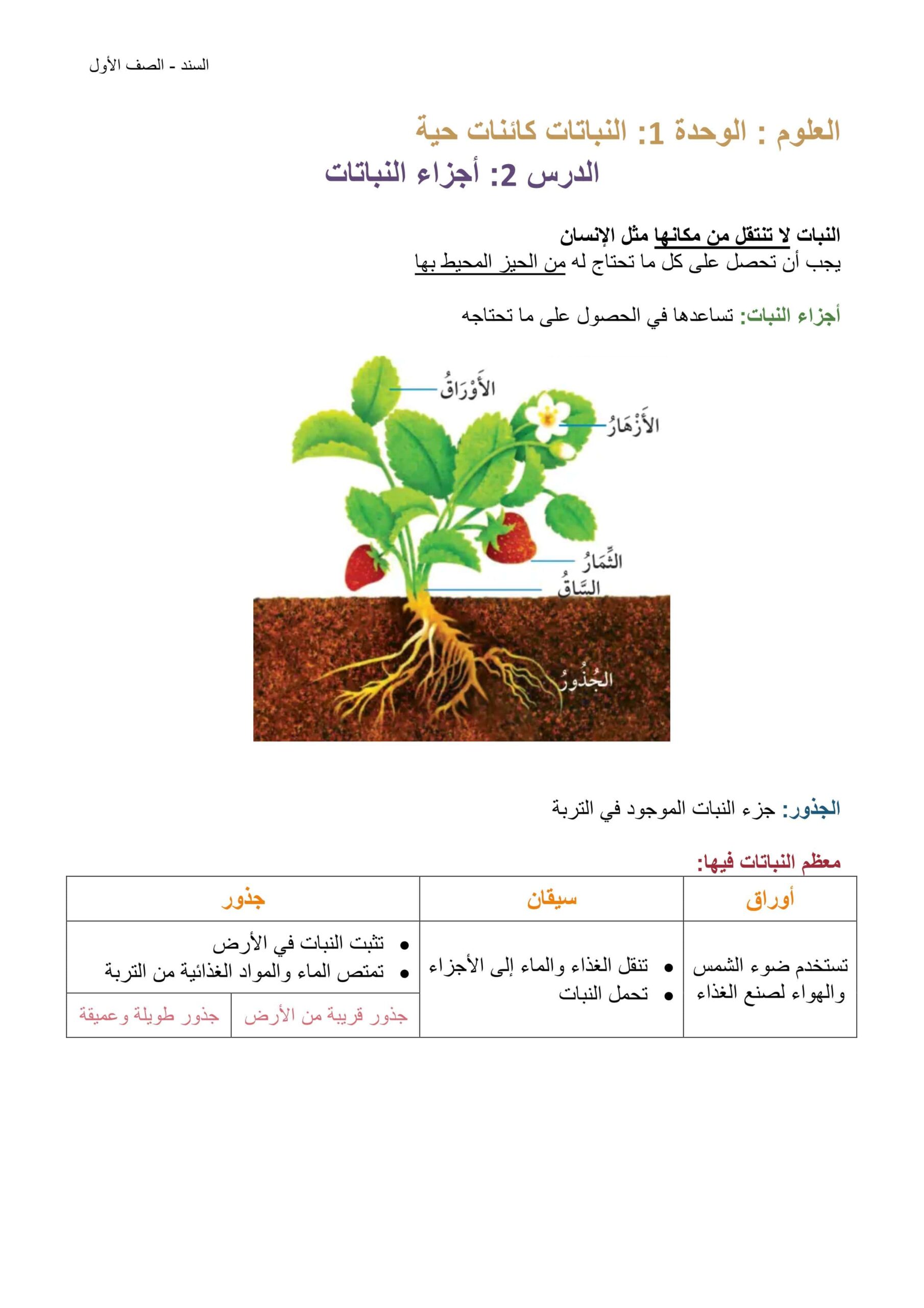 ملخص درس أجزاء النبات العلوم المتكاملة الصف الأول 