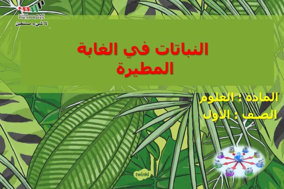 حل درس النباتات في الغابة المطيرة العلوم المتكاملة الصف الأول - بوربوينت