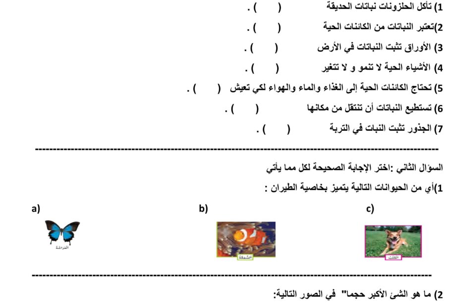 ورقة عمل تدريب اللغة العربية الصف الأول