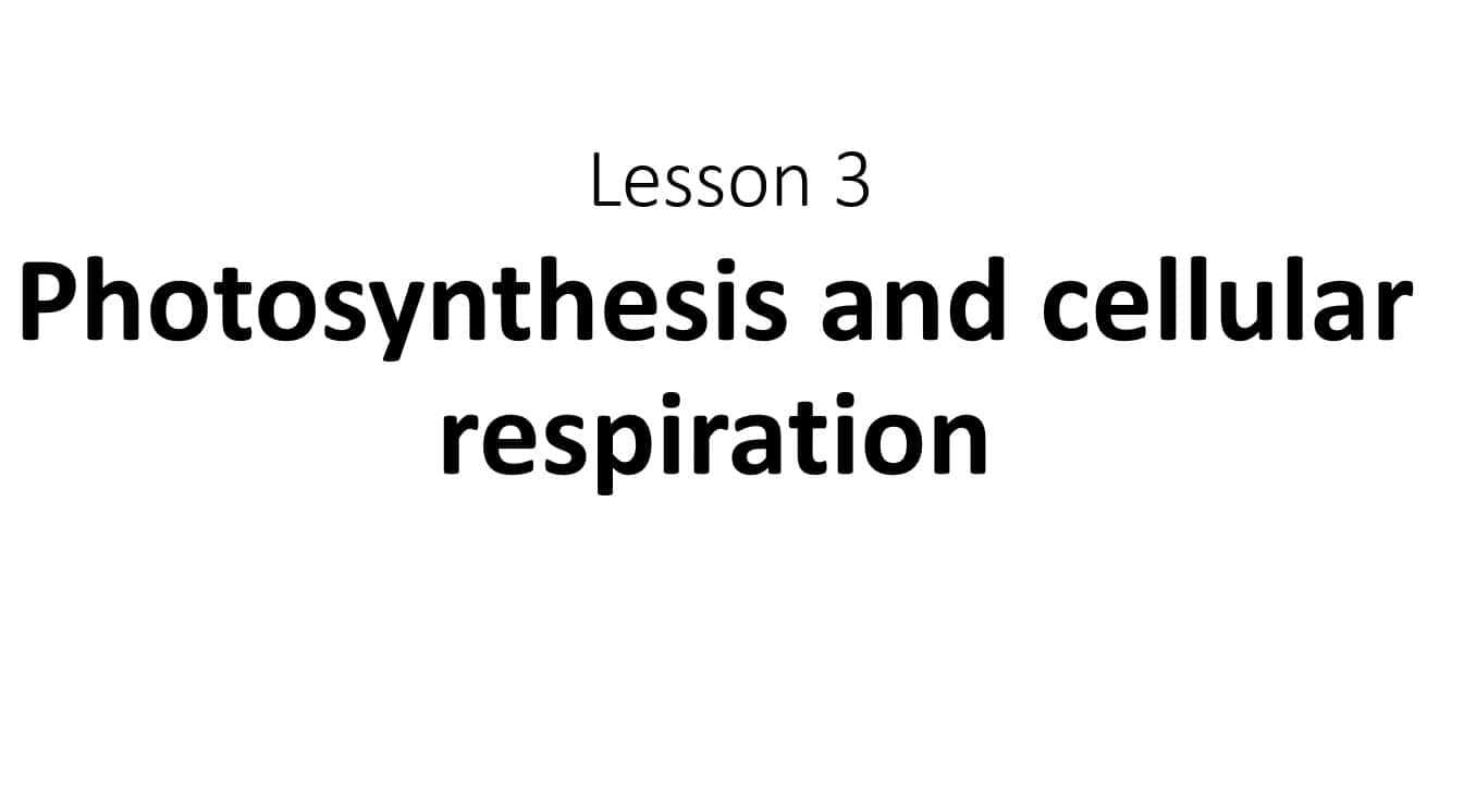 حل درس Photosynthesis and cellular respiration العلوم المتكاملة الصف السادس - بوربوينت