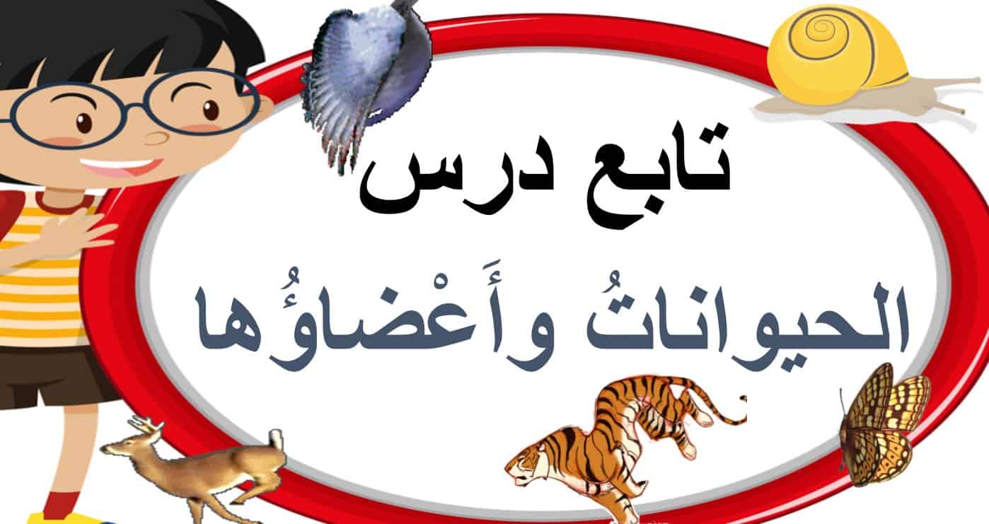 حل درس الحيوانات وأعضاؤها العلوم المتكاملة الصف الثالث - بوربوينت