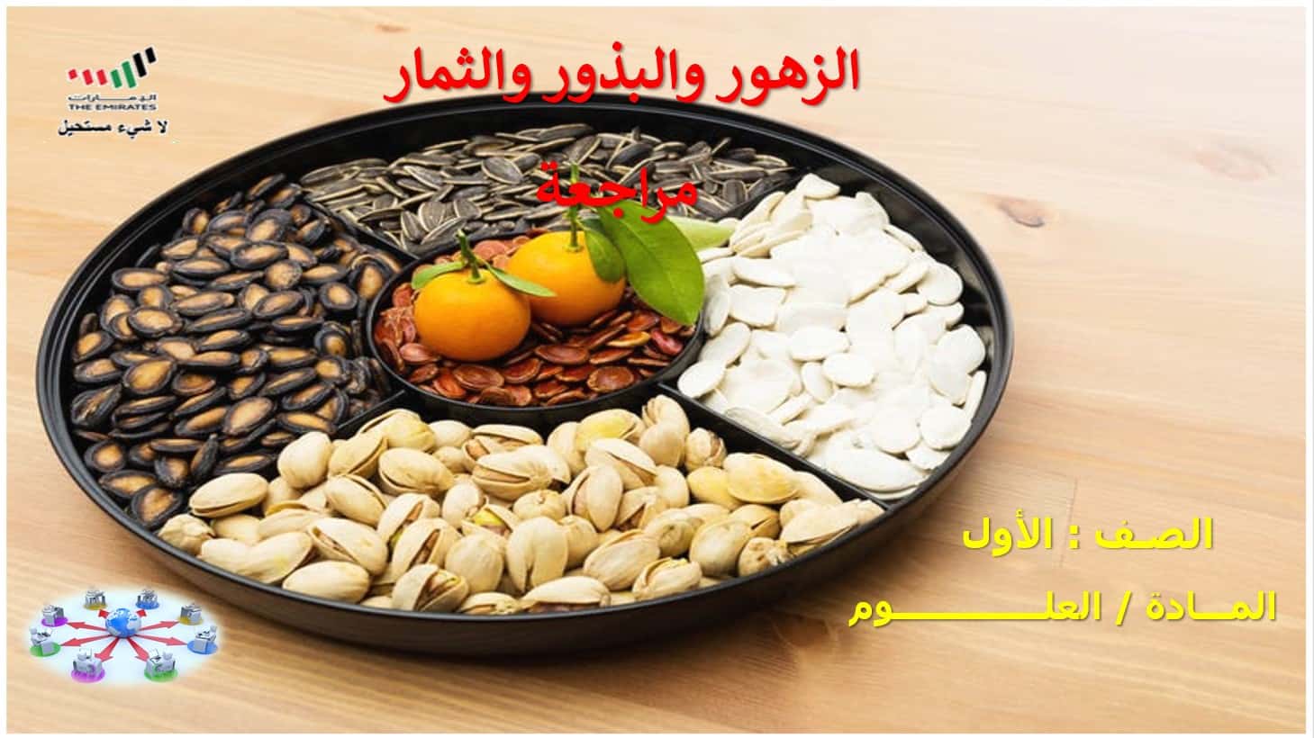 مراجعة الزهور والبذور والثمار العلوم المتكاملة الصف الأول - بوربوينت