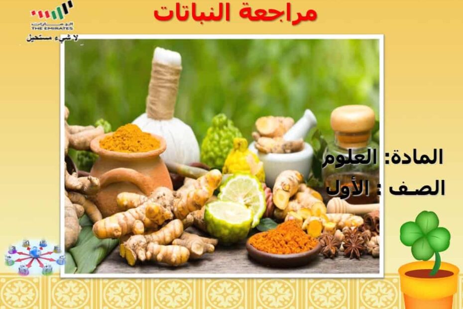 مراجعة النباتات العلوم المتكاملة الصف الأول - بوربوينت