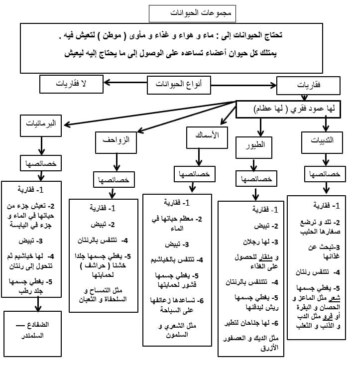 ملخص در مجموعات الحيوانات العلوم المتكاملة الصف الثاني 