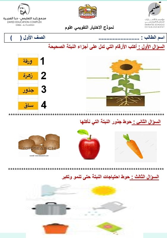 نموذج الاختبار التقويمي العلوم المتكاملة الصف الأول - بوربوينت 