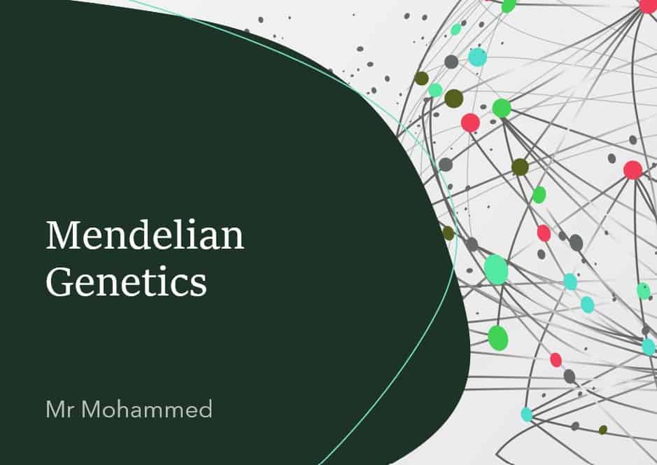 درس Mendelian Genetics الأحياء الصف الحادي عشر - بوربوينت 