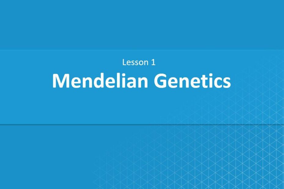 درس Mendelian Genetics الأحياء الصف العاشر - بوربوينت