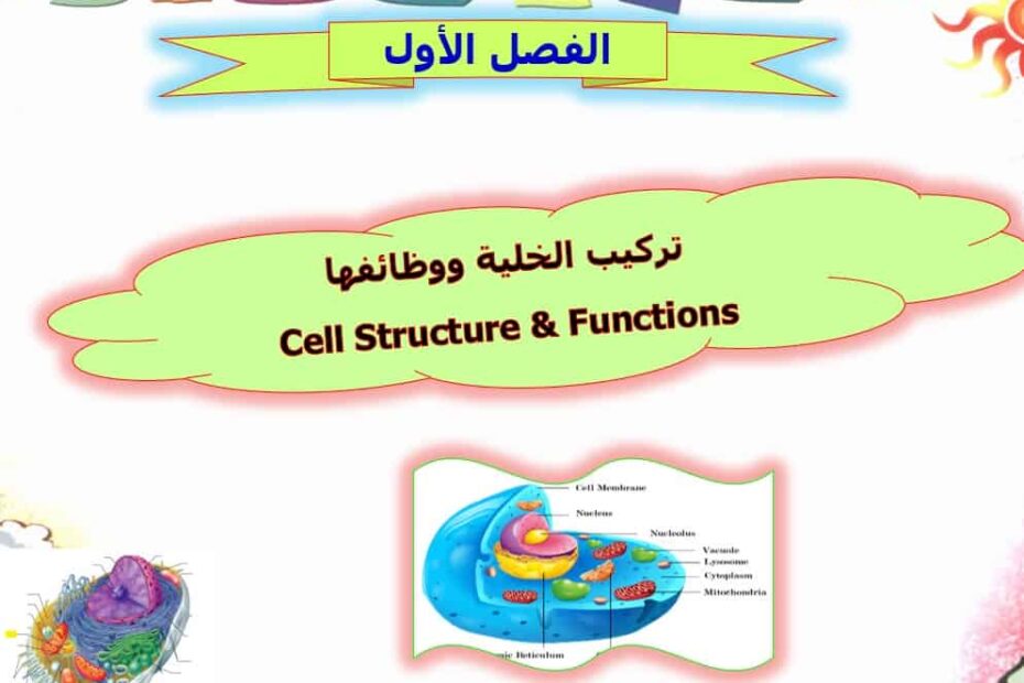 درس تركيب الخلية ووظائفها الأحياء الصف العاشر - بوربوينت