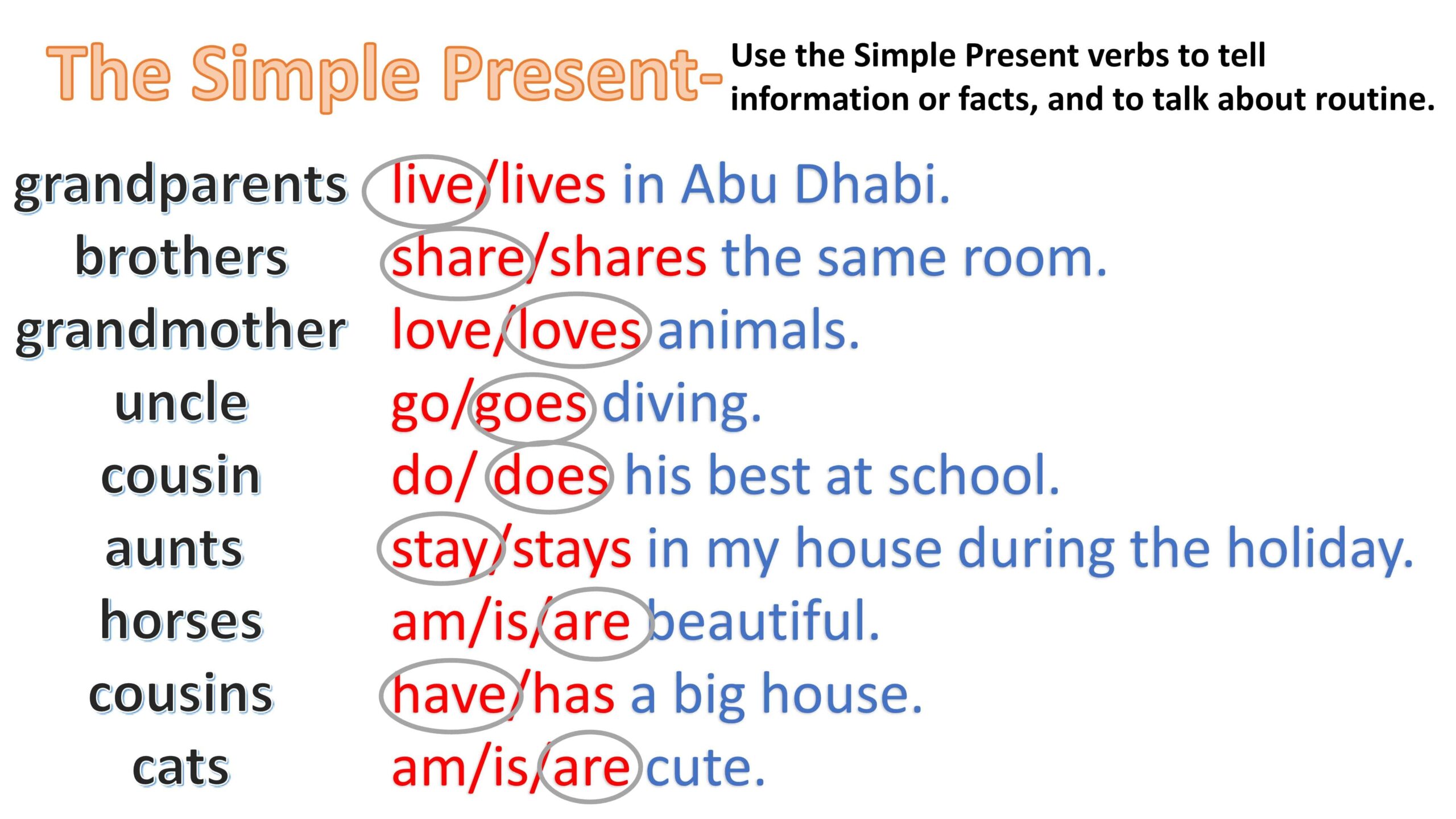 حل ورقة عمل Simple Present اللغة الإنجليزية الصف السادس
