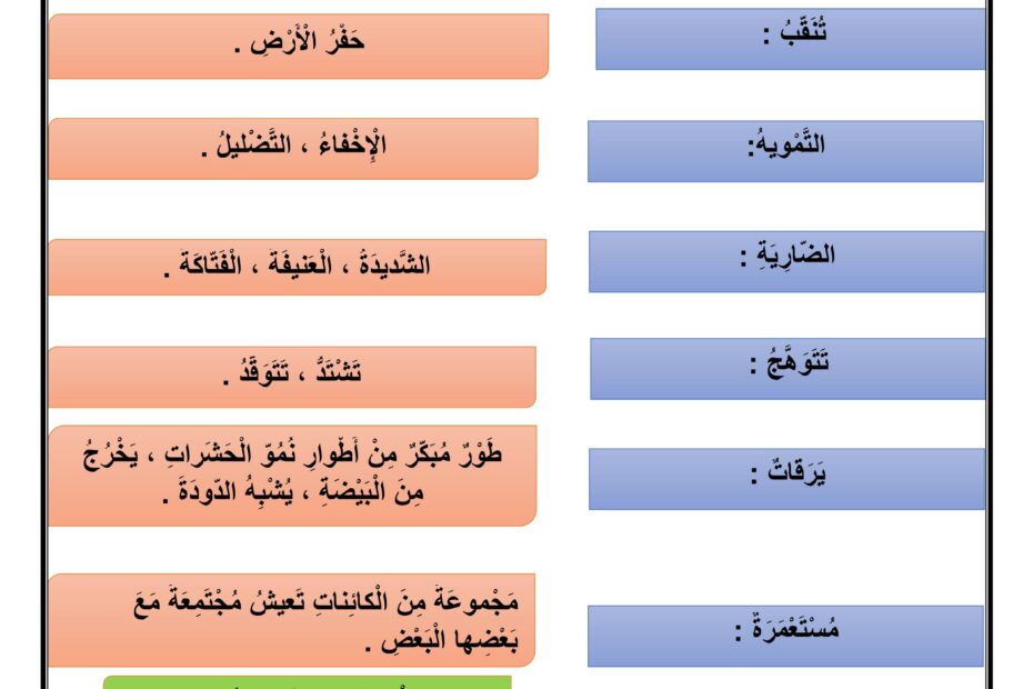 شرح مفردات درس عالم الحشرات من حولنا اللغة العربية الصف الثالث