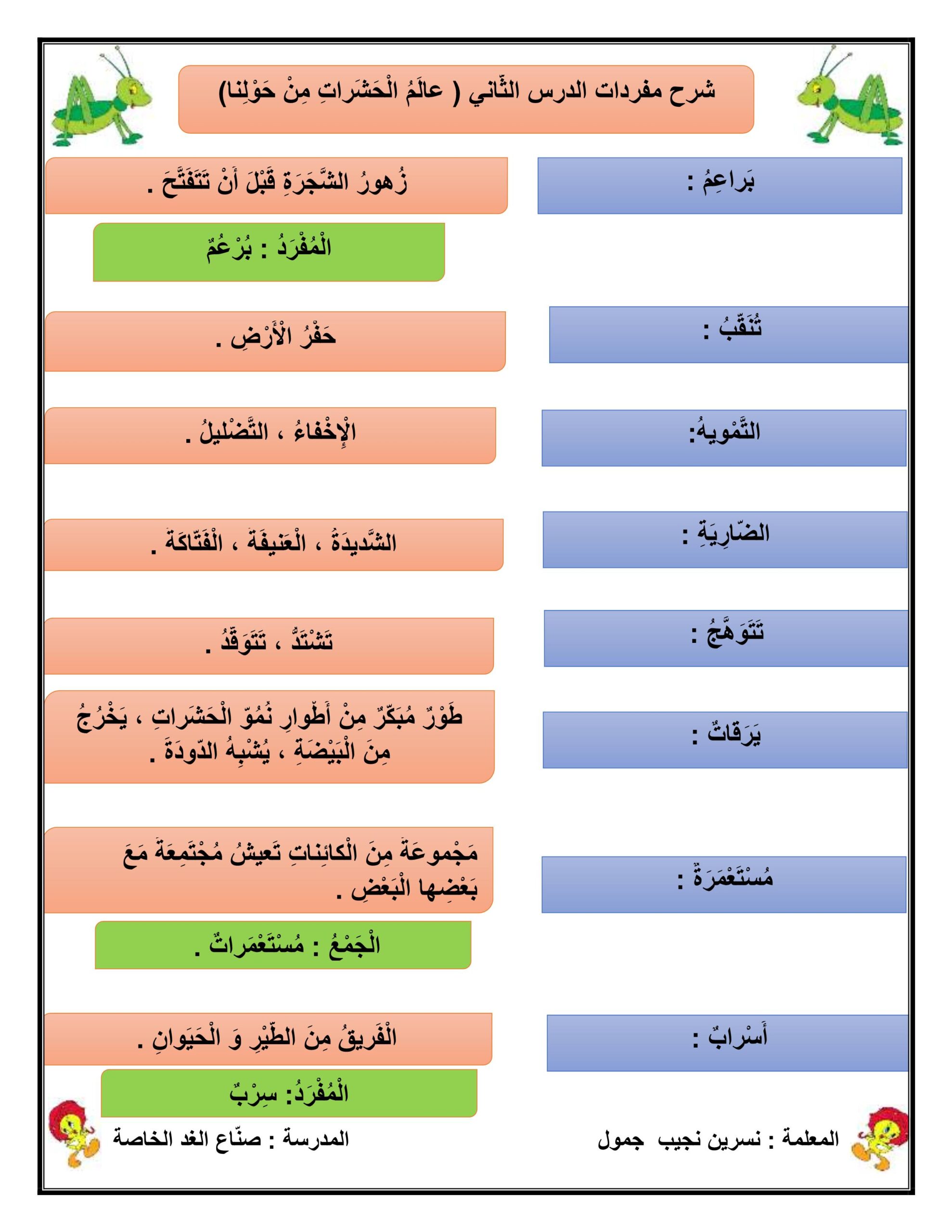 شرح مفردات درس عالم الحشرات من حولنا اللغة العربية الصف الثالث
