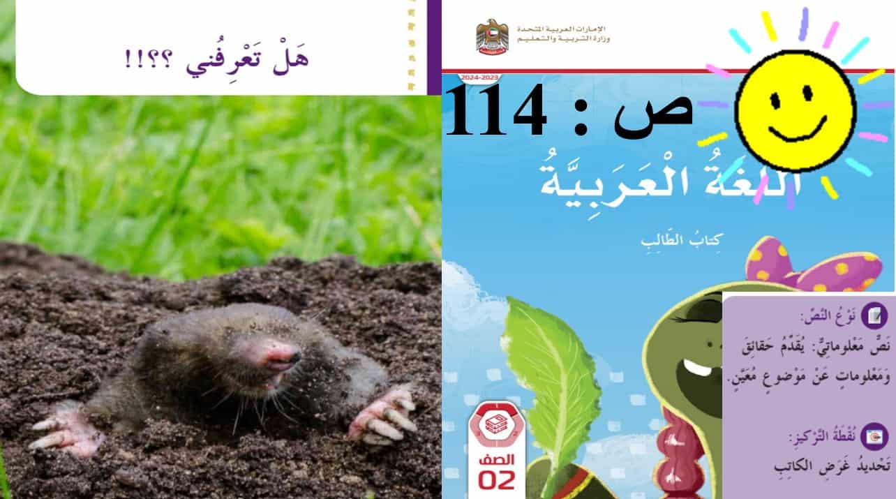 النص التطبيقي هل تعرفني اللغة العربية الصف الثاني - بوربوينت 