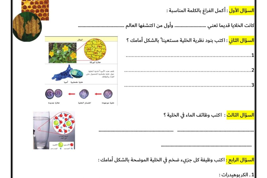 ورقة عمل الخلايا والحياة العلوم المتكاملة الصف السادس