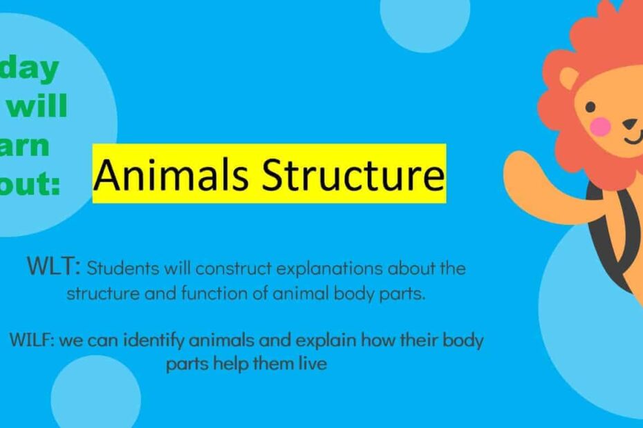 درس Animals Structure العلوم المتكاملة الصف الأول - بوربوينت