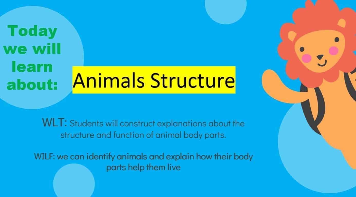 درس Animals Structure العلوم المتكاملة الصف الأول - بوربوينت 