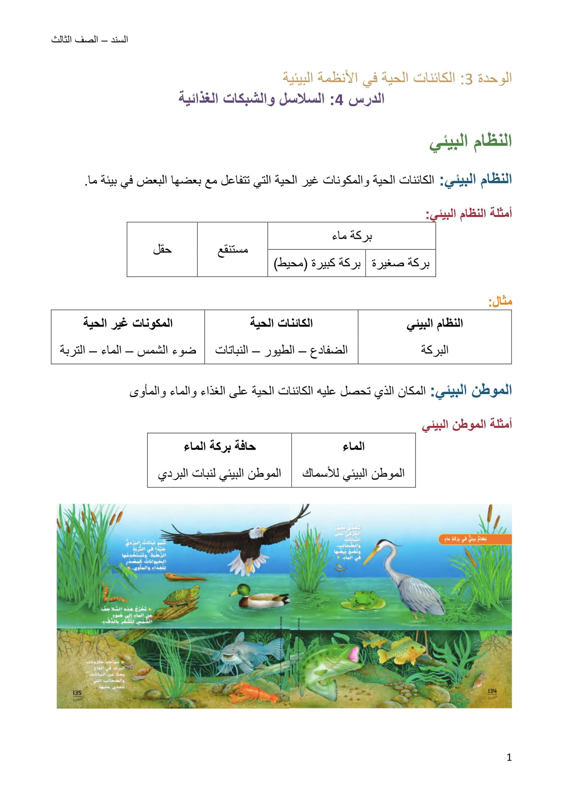 ملخص درس السلاسل والشبكات الغذائية العلوم المتكاملة الصف الثالث 