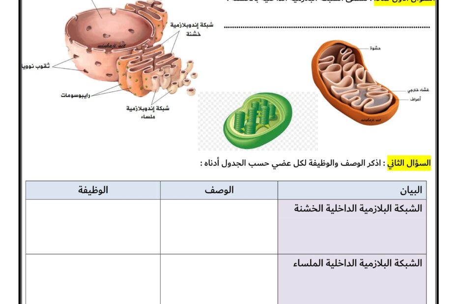 ورقة عمل عضيات الخلية العلوم المتكاملة الصف السادس