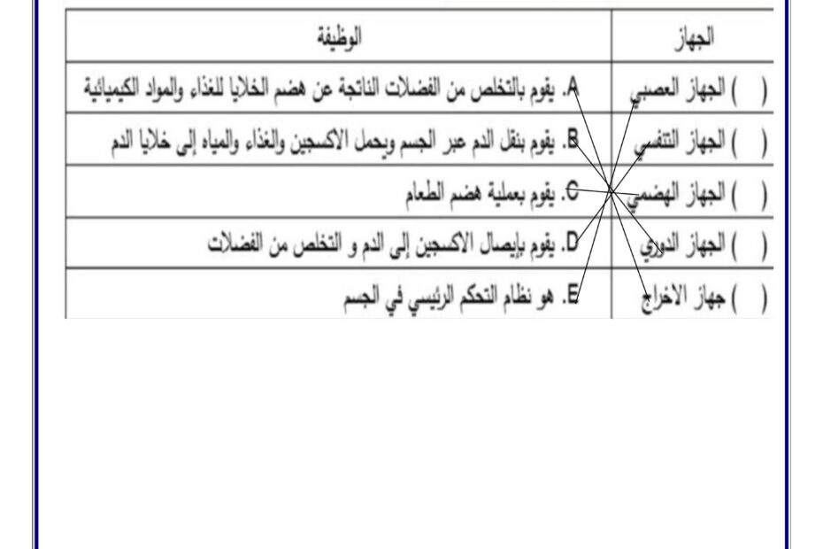 حل ورقة عمل الأنظمة في الحيوانات العلوم المتكاملة الصف الرابع