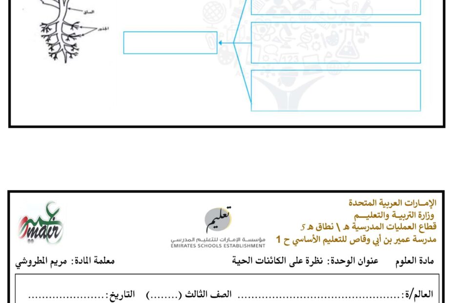 ورقة عمل النباتات وأجزاؤها العلوم المتكاملة الصف الثالث - بوربوينت