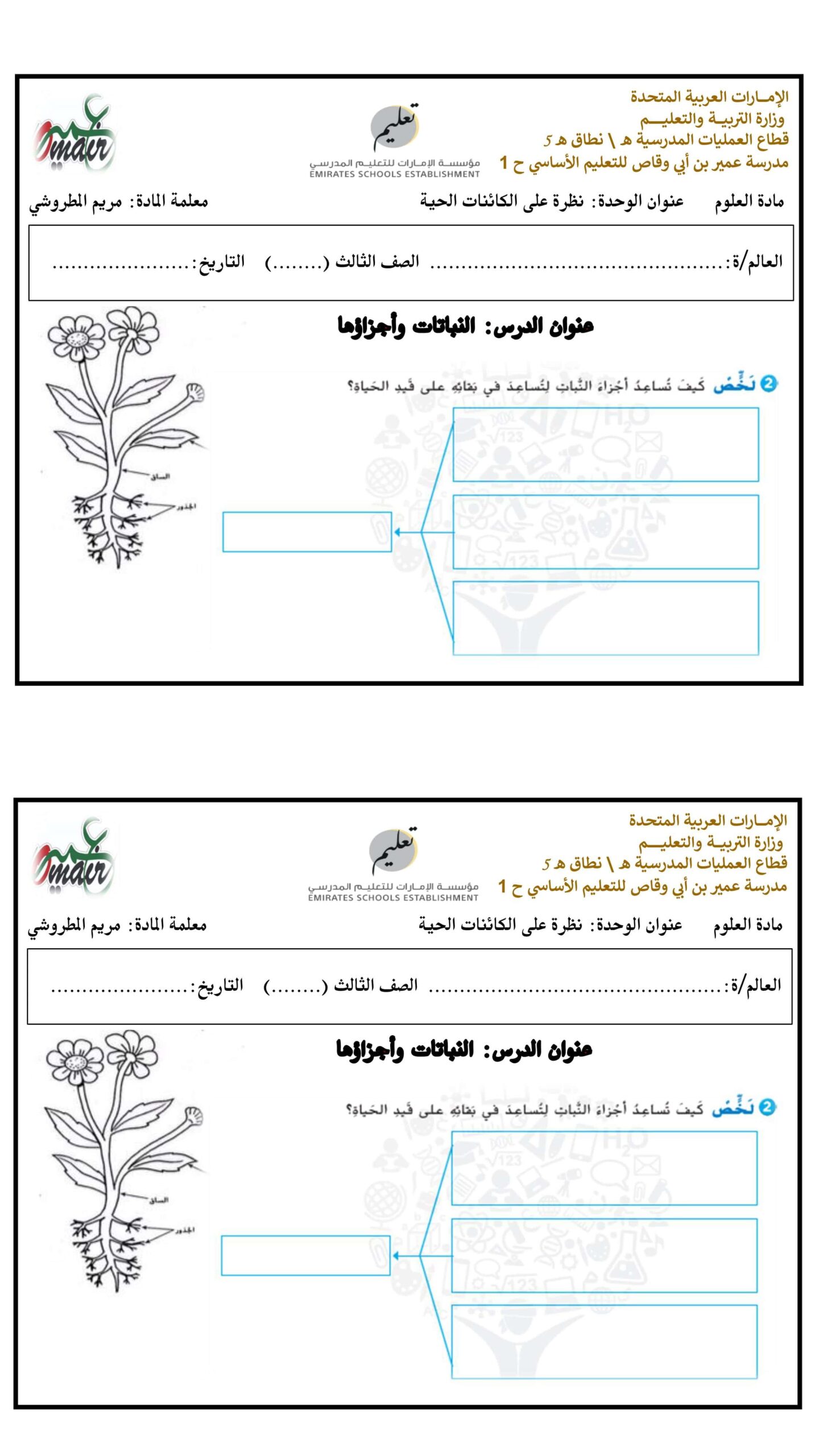 ورقة عمل النباتات وأجزاؤها العلوم المتكاملة الصف الثالث - بوربوينت