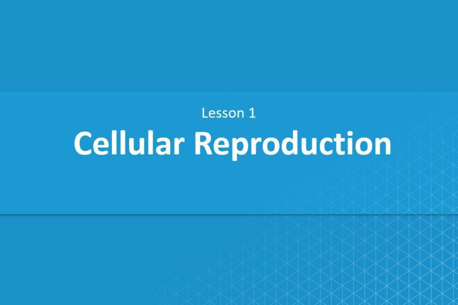 درس Cellular Reproduction الفيزياء الصف العاشر - بوربوينت