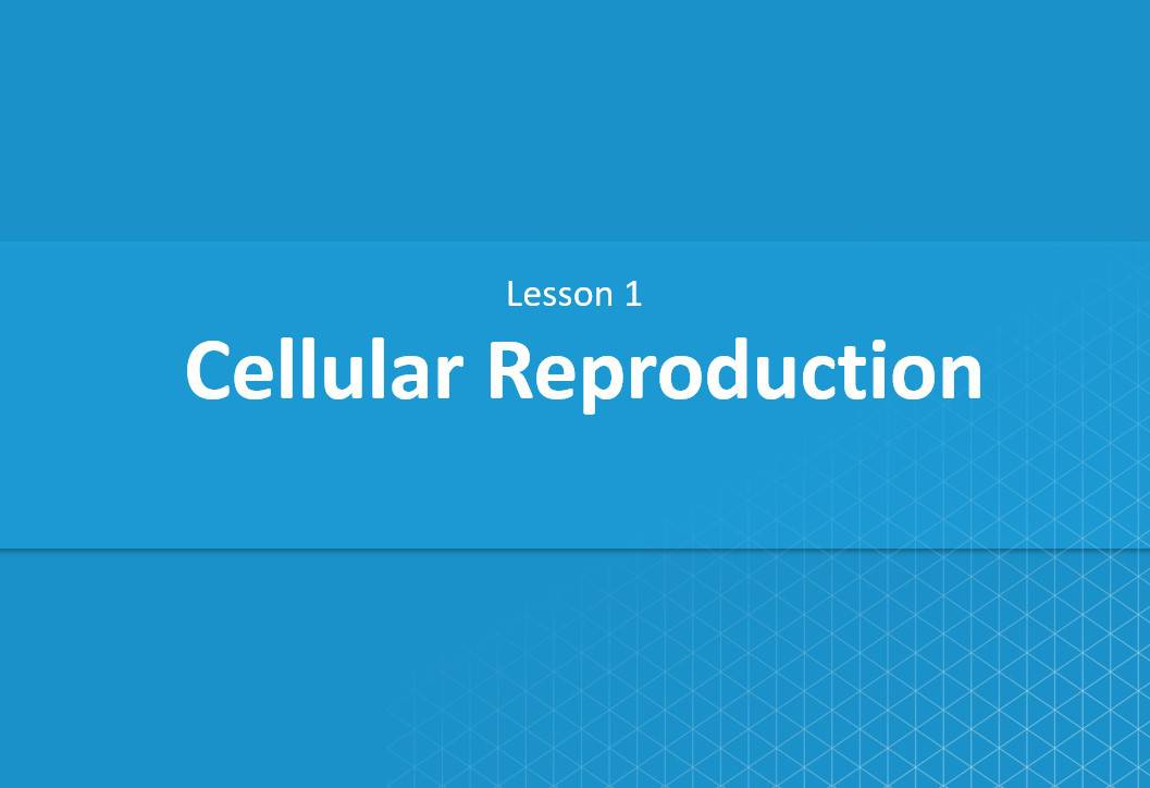 درس Cellular Reproduction الفيزياء الصف العاشر - بوربوينت 