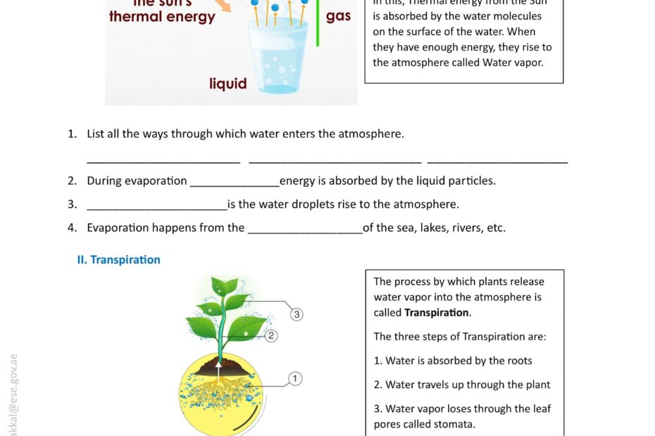 ورقة عمل Water on the Surface of Earth العلوم المتكاملة الصف السادس