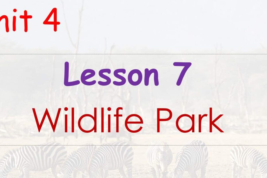 حل درس Wildlife Park اللغة الإنجليزية الصف الخامس - بوربوينت