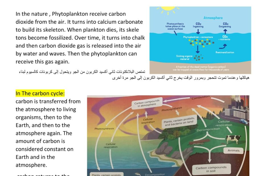 ملخص Cycling of Matter العلوم المتكاملة الصف السابع