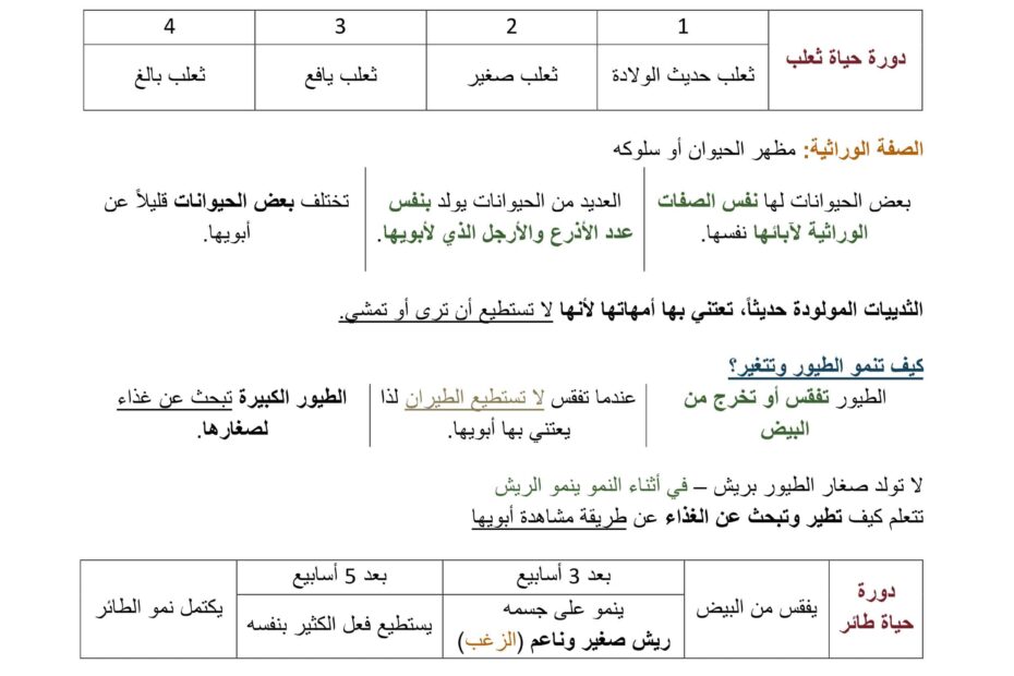 ملخص درس نمو الحيوانات وتغيرها العلوم المتكاملة الصف الثاني