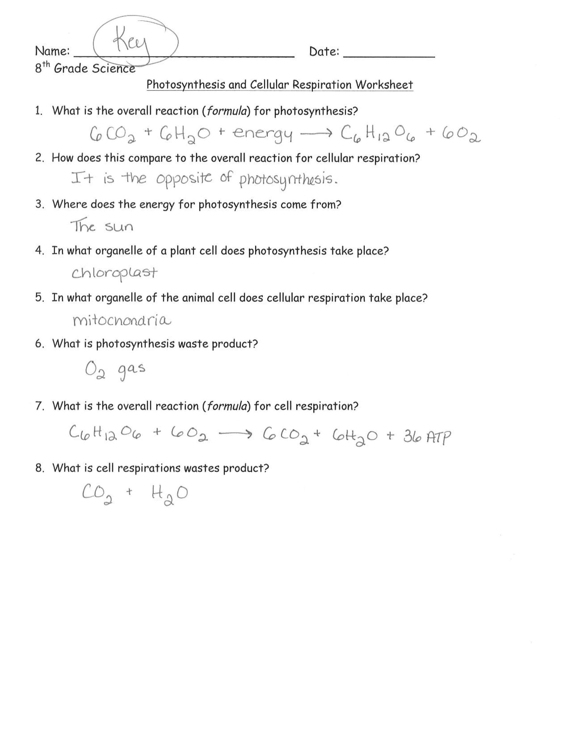 حل ورقة عمل العلوم المتكاملة الصف السادس